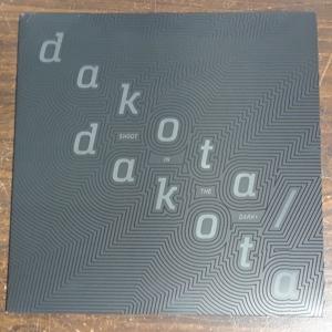 Cover for Dakota / Dakota · Shoot In The Dark (LP)