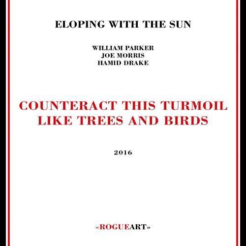 Cover for Eloping With The Sun · Counteract This Turmoil Like Trees And Birds (CD) (2016)