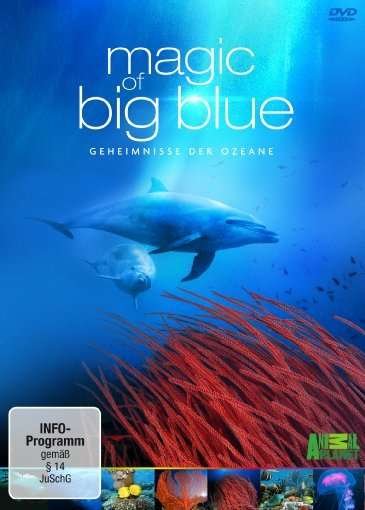 Magic of Big Blue - Movie - Film - Koch Media - 4020628907693 - 18. oktober 2013