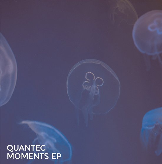 Cover for Quantec · Moments Ep (LP) (2020)
