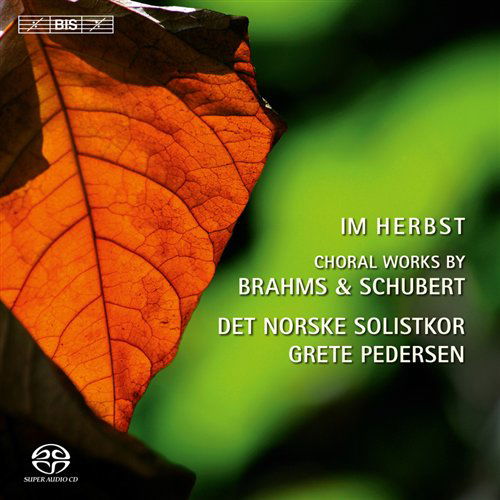 Cover for Andsnes, Ingrid / Berg, Madelene / Birkeland, Oystein / Bullock, Catherine / Nordstoga, Kåre / Norwegian Soloists´ Choir / Pedersen, Grete / Ree, Ole-Eirik / Styffe, Dan · Im Herbst-Chorwerke von Brahms und Schubert (SACDH) (2011)