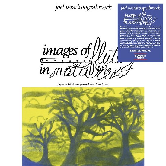 Cover for Joel Vandroogenbroeck · Images Of Flute In Nature (LP) (2023)