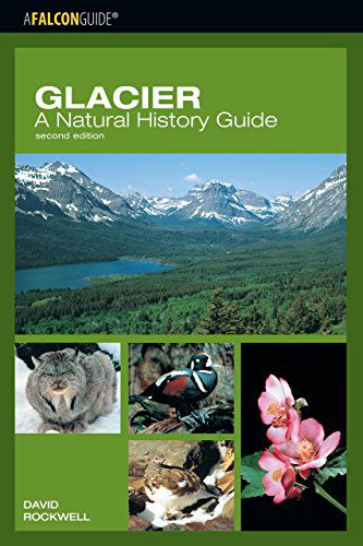 Cover for David Rockwell · Glacier: A Natural History Guide (Paperback Book) [Second edition] (2007)