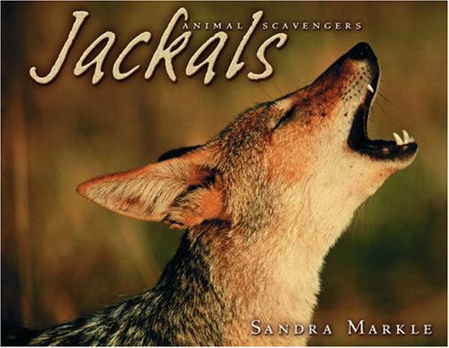 Cover for Sandra Markle · Jackals - Animal Scavengers (Paperback Book) (2010)