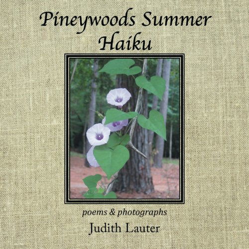 Cover for Judith Lauter · Pineywoods Summer Haiku: Poems and Photographs (Paperback Book) (2014)