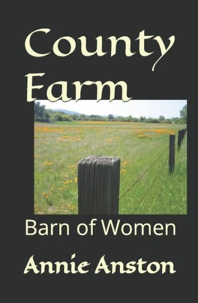 Cover for Annie Anston · County Farm (Buch) (2017)