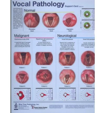 Cover for C.Richard Stasney · Vocal Pathology (Hörbok (CD)) (2001)