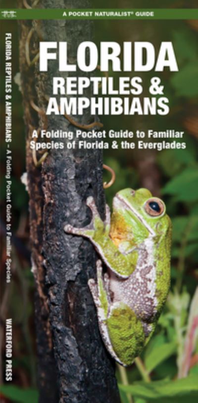 Cover for James Kavanagh · Florida Reptiles and Amphibians (Book) (2017)