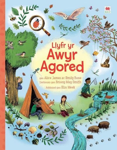 Cover for Alice James · Llyfr yr Awyr Agored (Paperback Book) (2017)
