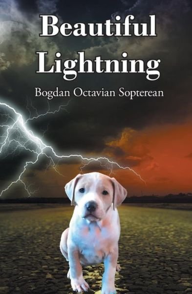 Cover for Bogdan Octavian Sopterean · Beautiful Lightning (Pocketbok) (2019)
