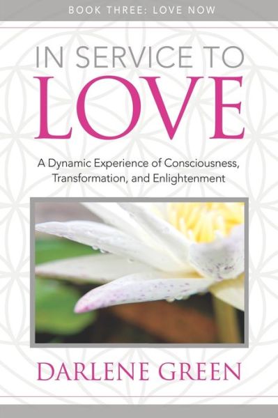In Service to Love Book 3 - Darlene Green - Books - Waterside Productions - 9781949001693 - August 22, 2020