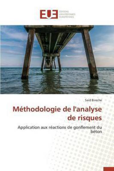 Cover for Bireche Said · Methodologie De L'analyse De Risques (Paperback Book) (2018)