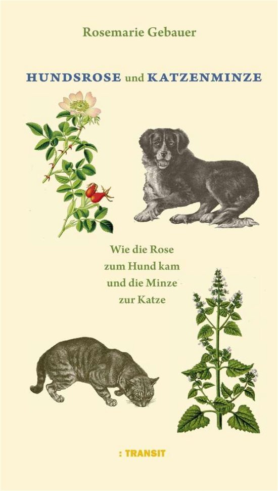 Cover for Gebauer · Hundsrose und Katzenminze (Bok)