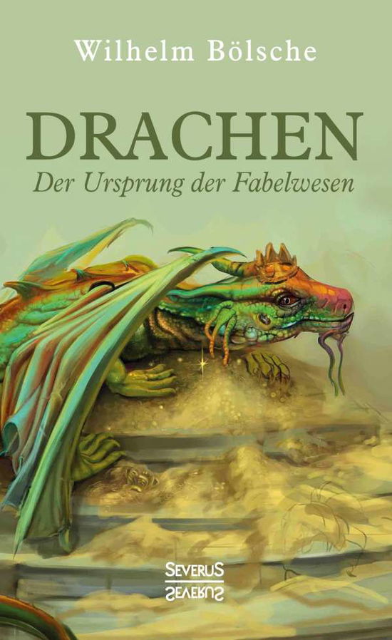 Cover for Bölsche · Drachen - Der Ursprung der Fabe (Book)