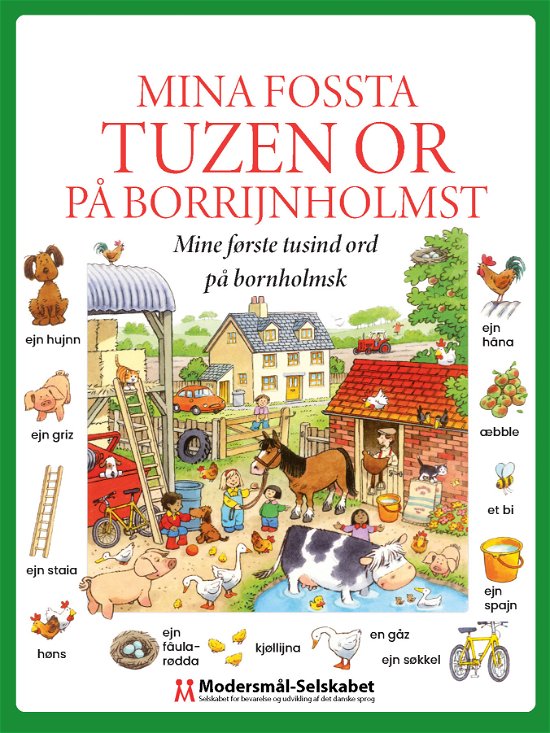 Cover for Heather Amery · Mina fossta tuzen or på borrijnholmst (Hardcover Book) [1st edition] (2023)