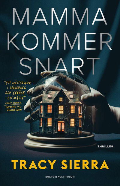 Cover for Tracy Sierra · Mamma kommer snart (Bound Book) (2024)