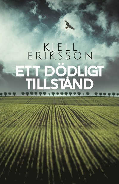 Cover for Kjell Eriksson · Ett dödligt tillstånd (Pocketbok)