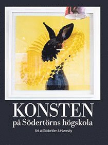 Cover for Annika Öhrner · Konsten på Södertörns högskola (Book) (2016)