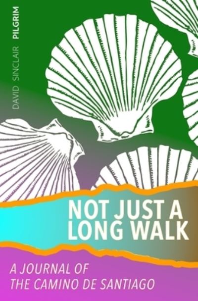 Cover for David Sinclair · Not Just a Long Walk: A Journal of the Camino de Santiago (Paperback Book) (2020)