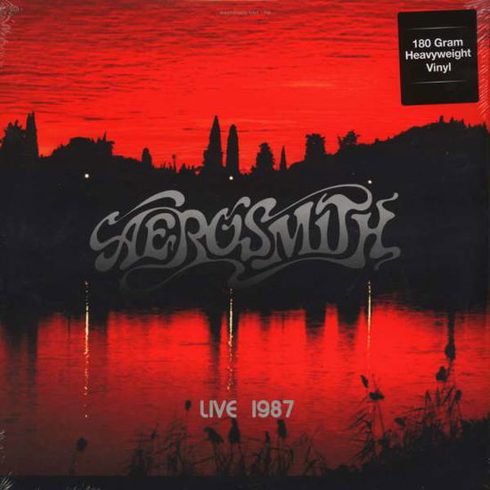 Cover for Aerosmith · Live at the Civic Center, Hamp (LP) (2017)