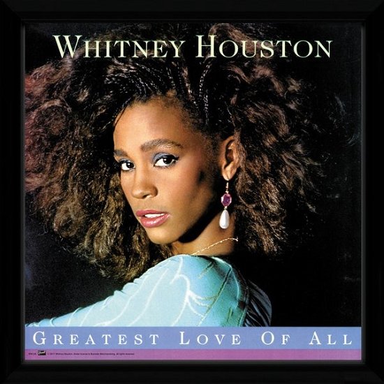 Cover for Whitney Houston · Whitney Houston: Greatest Love Of All (Lp In Cornice) (MERCH)