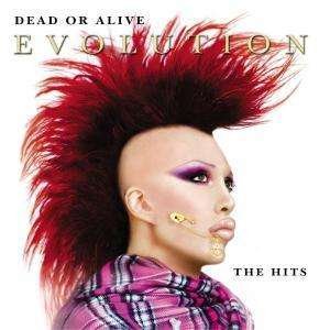 Cover for Dead or Alive · Evolution (The Hits) (CD) (2003)