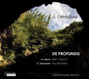 De Profundis - Bach,j.s. / Il Gardellino - Musik - PASSACAILLE - 5425004849694 - 10. mai 2011