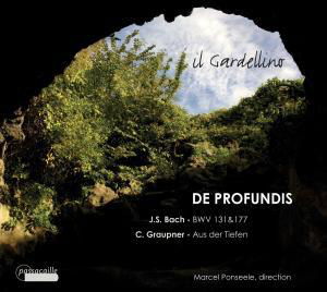 De Profundis - Bach,j.s. / Il Gardellino - Musik - PASSACAILLE - 5425004849694 - 10. Mai 2011