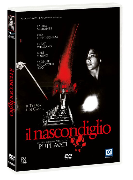 Cover for Nascondiglio (Il) (DVD) (2021)
