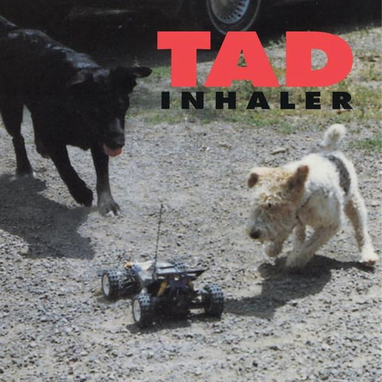 Cover for Tad · Inhaler (LP) (2024)