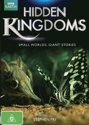 Cover for Hidden Kingdoms · Region Pal 4 (DVD) (2016)