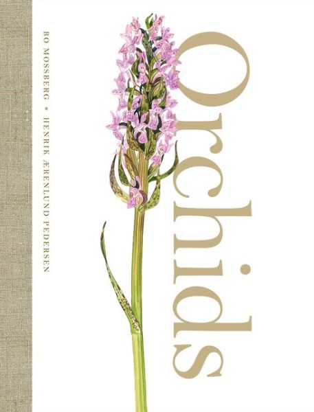 Cover for Henrik Aerenlund Pedersen · Orchids (Hardcover Book) (2017)