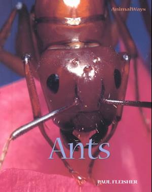 Cover for Paul Fleisher · Ants (Animal Ways) (Hardcover Book) (2002)