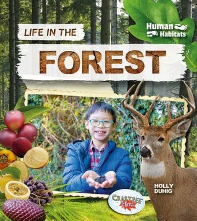 Life in the Forest - Holly Duhig - Books - Crabtree Publishing Company - 9780778764694 - July 31, 2019