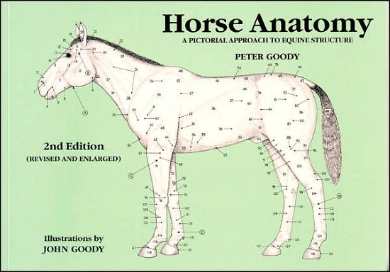 Horse Anatomy: A Pictorial Approach to Equine Structure - Peter Goody - Books - The Crowood Press Ltd - 9780851317694 - February 1, 2001