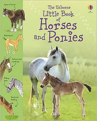 Little Book of Horses and Ponies - Little Books - Sarah Khan - Books - Usborne Publishing Ltd - 9781409508694 - April 30, 2010