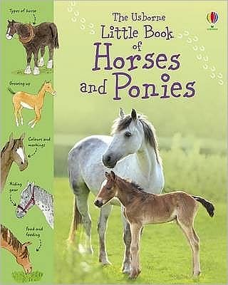 Cover for Sarah Khan · Little Book of Horses and Ponies - Little Books (Innbunden bok) (2010)