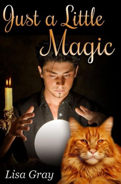 Just a Little Magic - Lisa Gray - Books - Createspace - 9781512343694 - June 24, 2015
