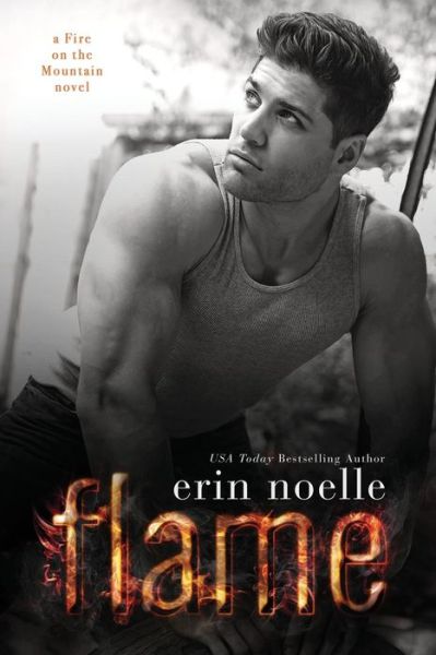 Cover for Erin Noelle · Flame (Pocketbok) (2015)