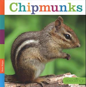 Cover for Kate Riggs · Chipmunks (Hardcover Book) (2018)