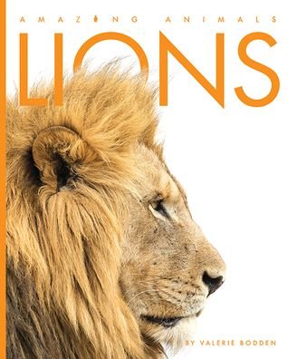 Cover for Valerie Bodden · Lions (Taschenbuch) (2020)