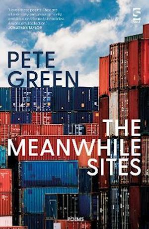 Cover for Pete Green · The Meanwhile Sites - Salt Modern Poets (Paperback Book) (2022)