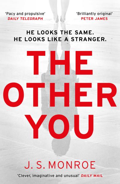 Cover for J.S. Monroe · The Other You (Paperback Book) (2021)