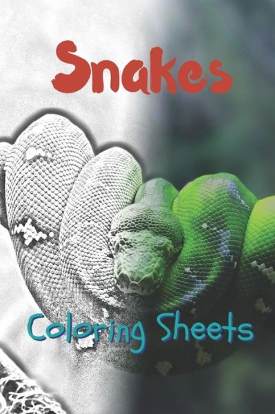 Snake Coloring Sheets - Julian Smith - Books - Amazon Digital Services LLC - Kdp Print  - 9781797630694 - February 20, 2019