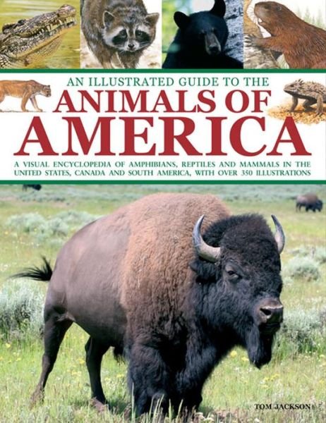 Cover for Tom Jackson · An Illustrated Guide to the Animals of America: a Visual Encyclopedia of Amphibians, Reptiles and Mammals in the United States, Canada and South America, with over 350 Illustrations (Paperback Book) (2013)