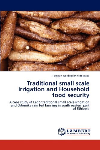 Traditional Small Scale Irrigation and Household Food Security: a Case Study of Ledo Traditional Small Scale Irrigation and Odomike Rain Fed Farming in South Eastern Part of Ethiopia - Tsegaye Woldegebriel Bobasso - Books - LAP LAMBERT Academic Publishing - 9783659200694 - August 14, 2012