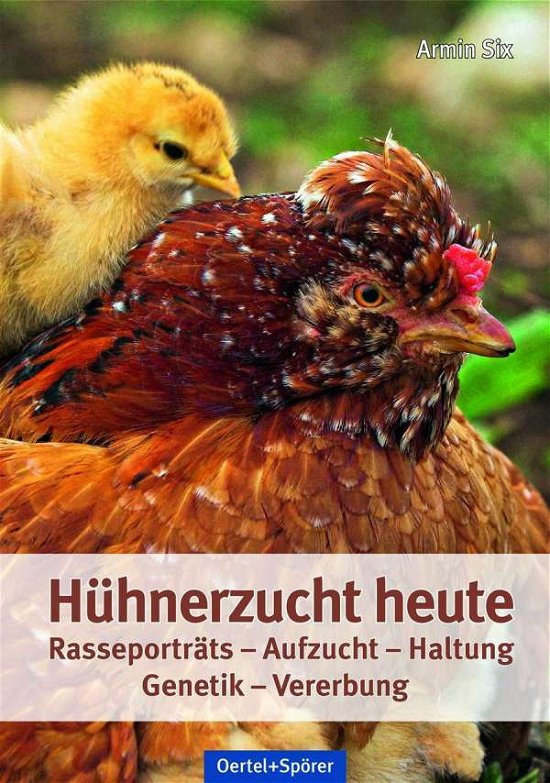 Cover for Six · Hühnerzucht heute (Buch)