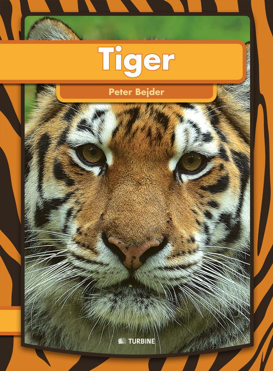 Cover for Peter Bejder · Min første bog: Tiger (N/A) [1.º edición] (2013)