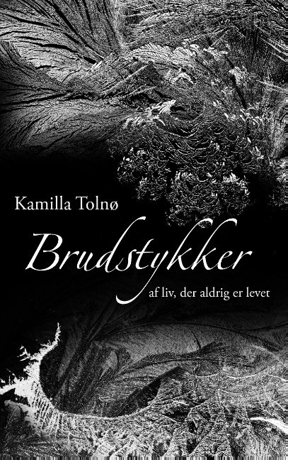 Brudstykker - Kamilla Tolnø - Books - Books on Demand - 9788771880694 - September 22, 2017