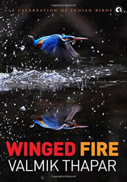 Winged Fire: A Celebration of Indian Birds, Part 3 of The Indian Wildlife Trilogy - Valmik Thapar - Książki - Aleph Book Company - 9789383064694 - 2 marca 2016